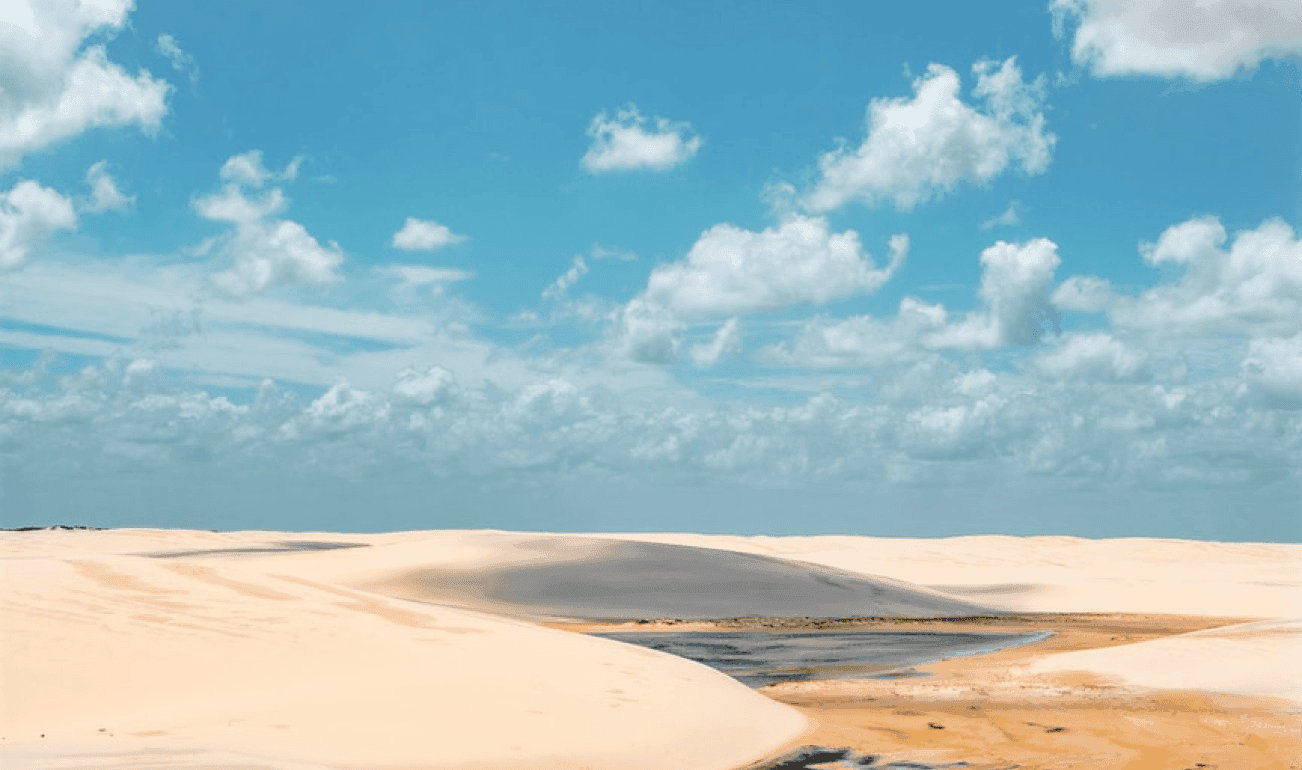 A desert with a small deposit of water drying up